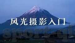 在线足球比分-在线足球比分，数字时代的绿茵场心跳实时监测仪